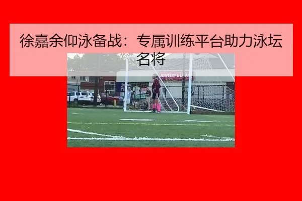 徐嘉余仰泳备战：专属训练平台助力泳坛名将